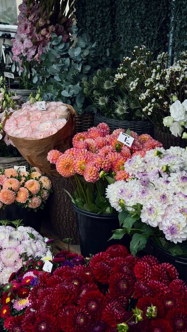 A vibrant display of freshly cut flowers arranged in various potted and wrapped bouquets at East Sheen Florist, including pink and peach roses, orange and pink dahlias, and deep red chrysanthemums. Th