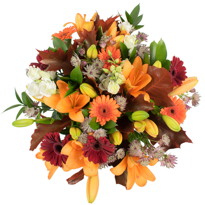 An intimate, overhead portrait of a full autumn bouquet, where colour and texture narrate the changing season. At the centre, several open orange Asiatic lilies display broad, trumpet-shaped petals that catch the studio light and throw soft highlights across their surfaces. Sprigs of closed lily buds-green-tinged, blushed with pale orange-nestle close, suggesting the bouquet's evolving beauty. Radiant orange Gerberas and their deep burgundy counterparts form bold, sunflower-like discs that punctuate the arrangement, while clusters of creamy white Lisianthus provide gentle relief with their ruffled, layered blooms. Muted purple Astrantia adds a delicate, almost lacy structure, each tiny star cluster contrasting with the larger floral shapes. Interspersed are large, lobed leaves in rich chestnut and maroon tones, reminiscent of leaves blown across neighbourhood pavements near Mortlake and Barnes on crisp autumn afternoons. Fresh green foliage threads through the piece, offering vibrancy and a living framework that supports the dense composition. Photographed against a clean white background, the colours read intensely-warm oranges, deep reds, soft ivories and cool purples-yielding a visual that is both celebratory and comforting. The bouquet smells lightly of nectar and late-season foliage, evoking cosy gatherings and kitchen-table conversations. Crafted with attention and balance, this arrangement is ideal for a Thanksgiving centrepiece, an autumn birthday, or a comforting gift to send to a friend across Upper Richmond Road; it reads as expertly assembled local florist work, meant to bring the warmth of the season indoors for homes around East Sheen.
