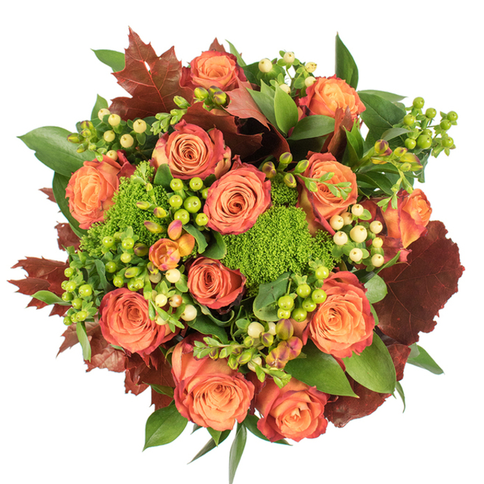 Arranged in a tight, circular design and photographed head-on from above against a stark white backdrop, this fall-inspired bouquet celebrates texture and colour with confident simplicity. The mass of large roses anchors the piece, their petals graduating from warm peach and coral-orange at the heart to deeper russet and reddish-brown at the edges, a subtle bicolour effect that mirrors early autumn leaves near Sheen Common. Interwoven are clusters of Hypericum berries - vivid lime-green alongside creamy pale-yellow - adding glossy, rounded accents that bring rhythm and contrast to the floral masses. Atop and between the blooms, plush Green Trick dianthus provides a striking moss-like texture, brightening the palette and inviting tactile curiosity. Broad, fresh green foliage forms the foundational backdrop, while scattered dark burgundy, oak-shaped leaves offer seasonal drama and visual weight. The light is gentle and even, skimming across velvety petals and glossy berries and creating soft shadows that enhance the bouquet's sculptural quality. There is an implied scent profile: the gentle sweetness of roses mingling with a faint earthy note from the textured greens, conjuring images of autumn morning walks toward Richmond Park. Crafted with the sensibility of a neighbourhood florist, this arrangement is ideal as a Thanksgiving centrepiece, a thoughtful seasonal gift, or as warm home decor; East Sheen Florist would prepare and wrap it with care for local delivery or collection from eastsheenflorist.co.uk.